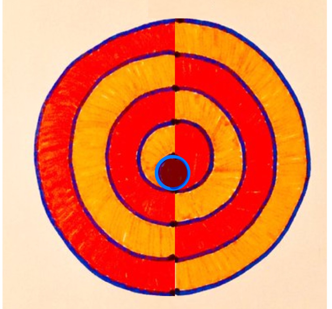 Spiralling semi-circles labelled
